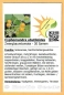 Preview: Cyphomandra abutiloides, 30 Samen